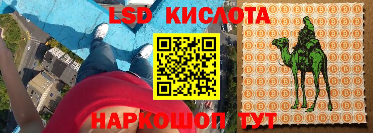 LSD-25 экстази  Вход с VPN  Камышлов  Лсд 25 экстази ecstasy 