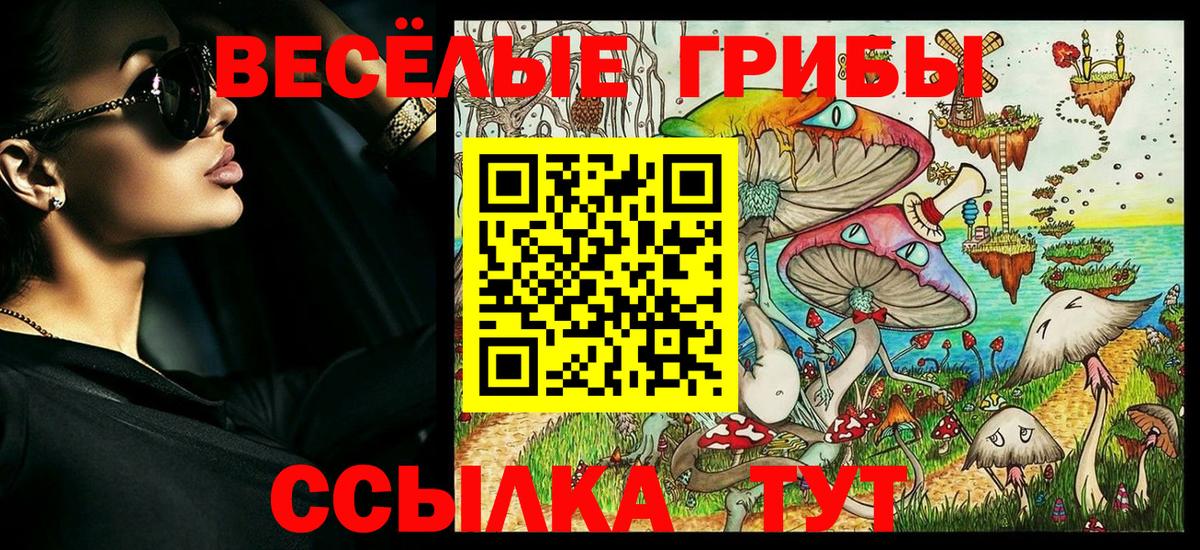 Меф   ГАШ  А ПВП СК   Камышлов  Конопля  Вход с VPN  ЭКСТАЗИ 
