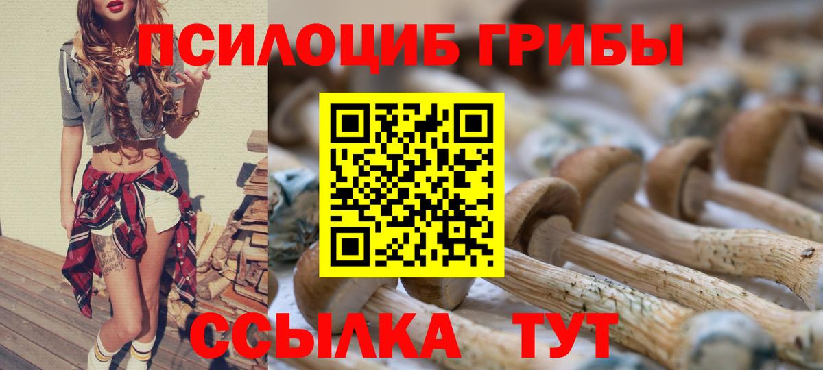 Галлюциногенные грибы Psilocybine cubensis Камышлов