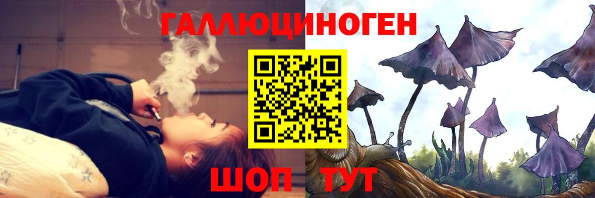 Псилоцибиновые грибы Psilocybine cubensis  Вход с VPN  Камышлов  Псилоцибиновые грибы прущие грибы 